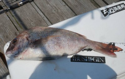 37613