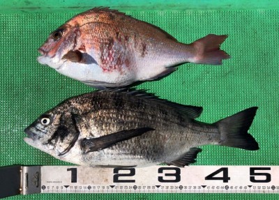 S__98476039