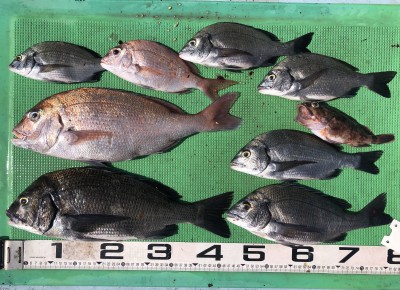 C12E3200-108A-4F2A-A068-3D62606449E0