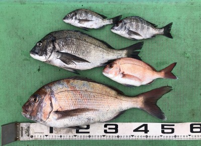 B3B32E0A-866A-476D-866E-9D6FFE486114