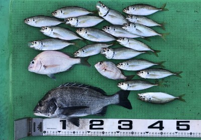 93496216-4C2B-4763-AE34-A7568312A673