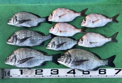 A8D40DE9-2506-4A7C-86CD-058F4C422E8E