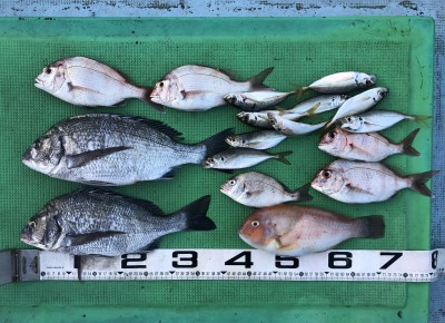 EB7854E4-E2FE-4BA0-ABEB-31D0C384EFCE