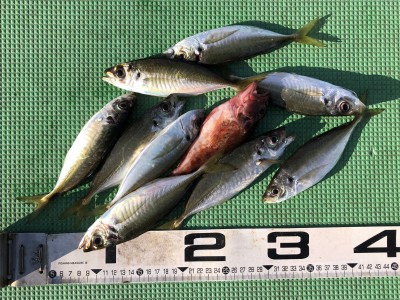 74CB3AD6-1C63-4AC3-A257-CF2232E6A9AF