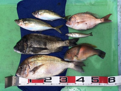S__160669698
