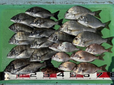 S__181714948